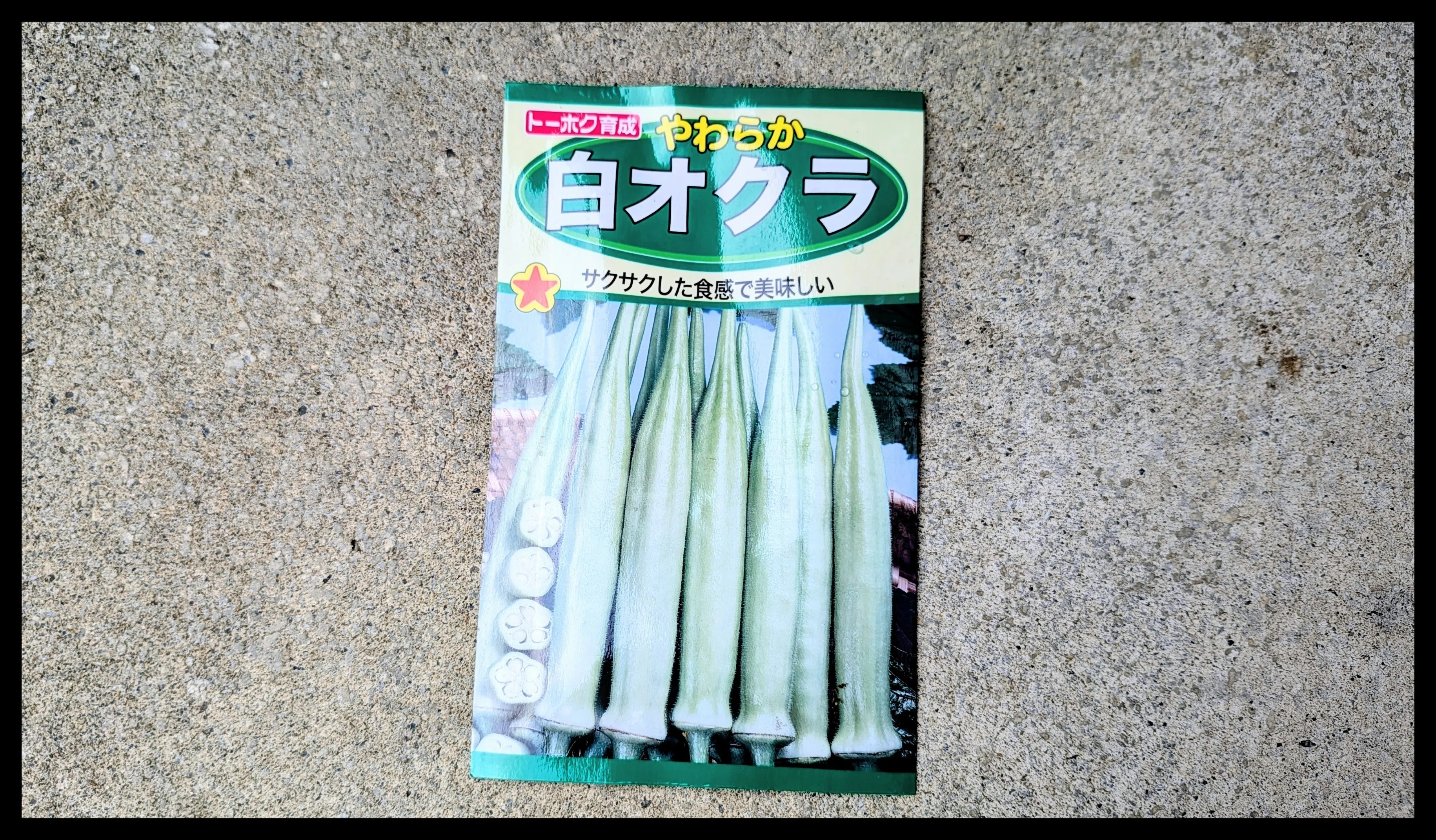 オクラ様 リクエスト 10点 まとめ商品 緑の指を持っていない私でも、リベンジできますか？（オクラ編）｜しゃら