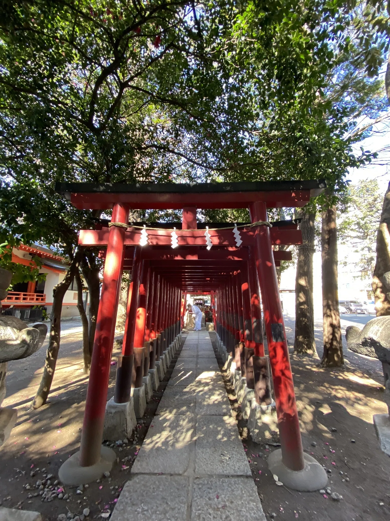 なぜ稲荷神社は関東に多いのか──「稲荷勧請」と「正一位」の謎を辿る