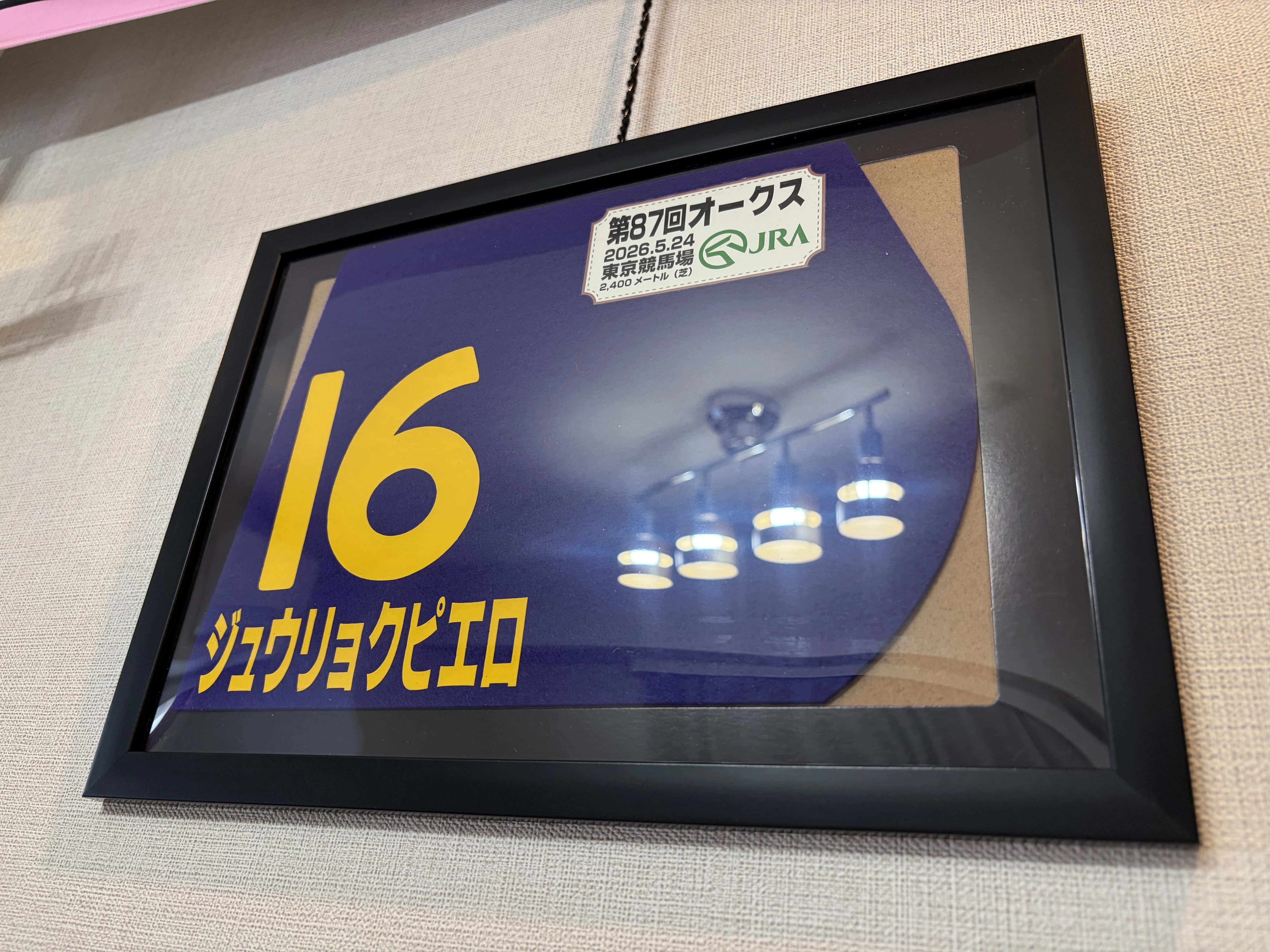 競馬——初めての推し馬・騎手とミニゼッケンの飾り方｜あかりの記録