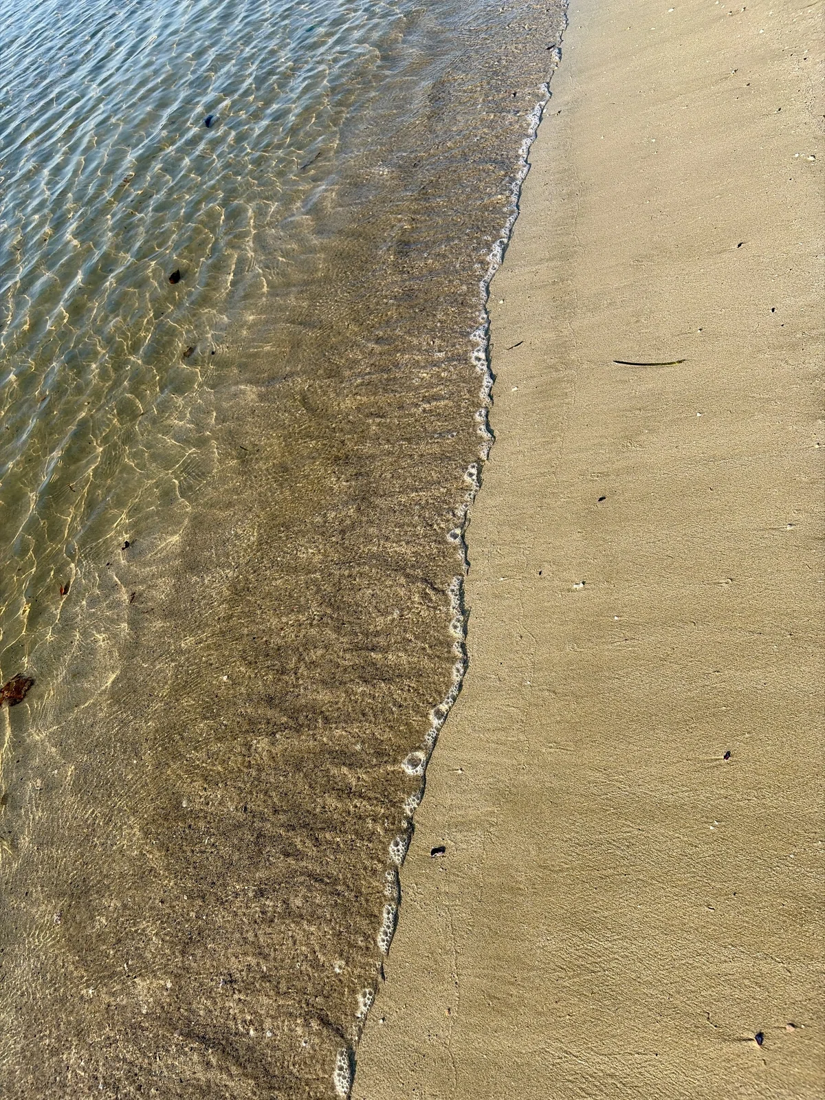 【写真】静かな浜辺|やむやむ