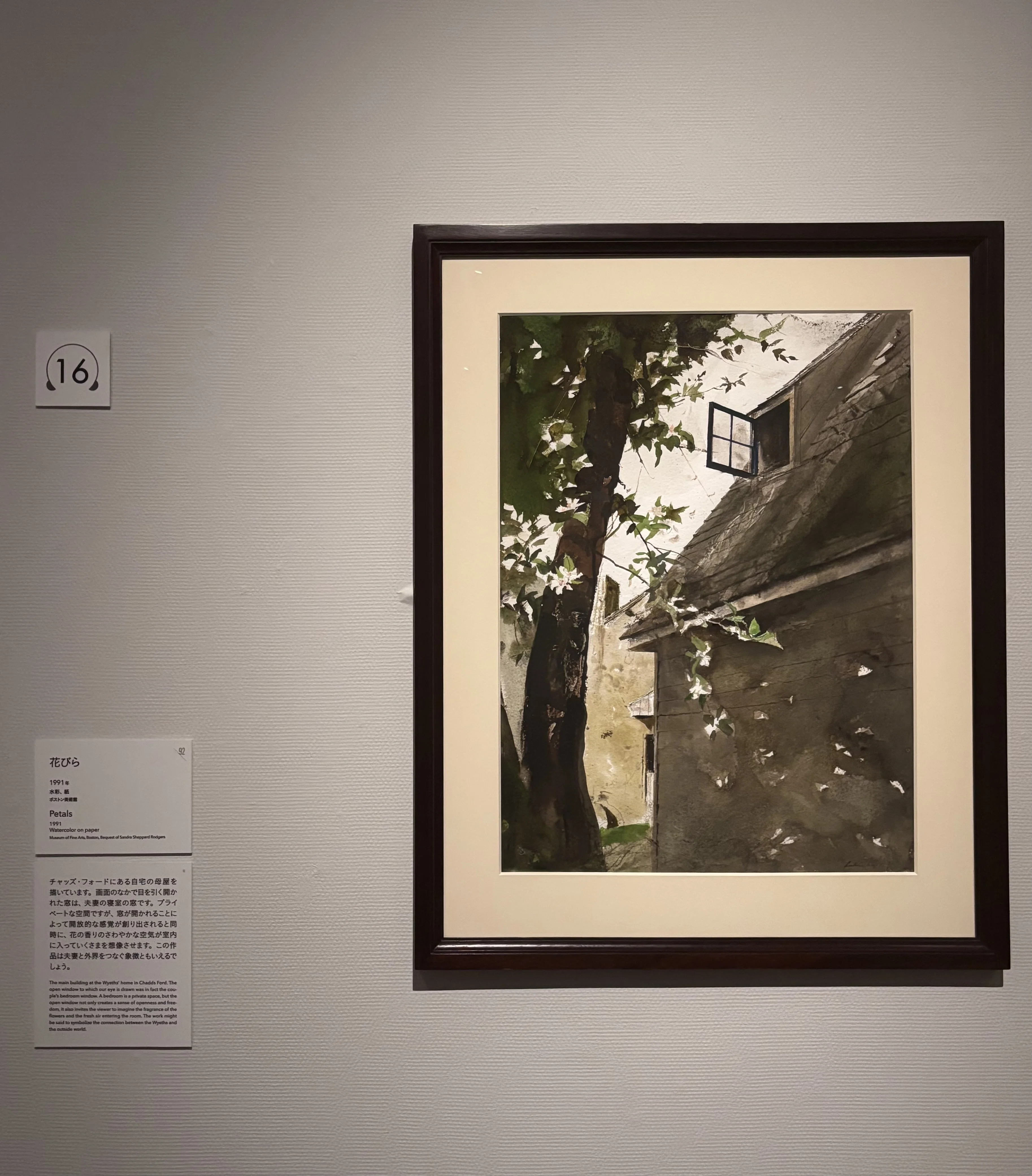 あまりにガッカリさせられた東京都立美術館「アンドリュー・ワイエス展