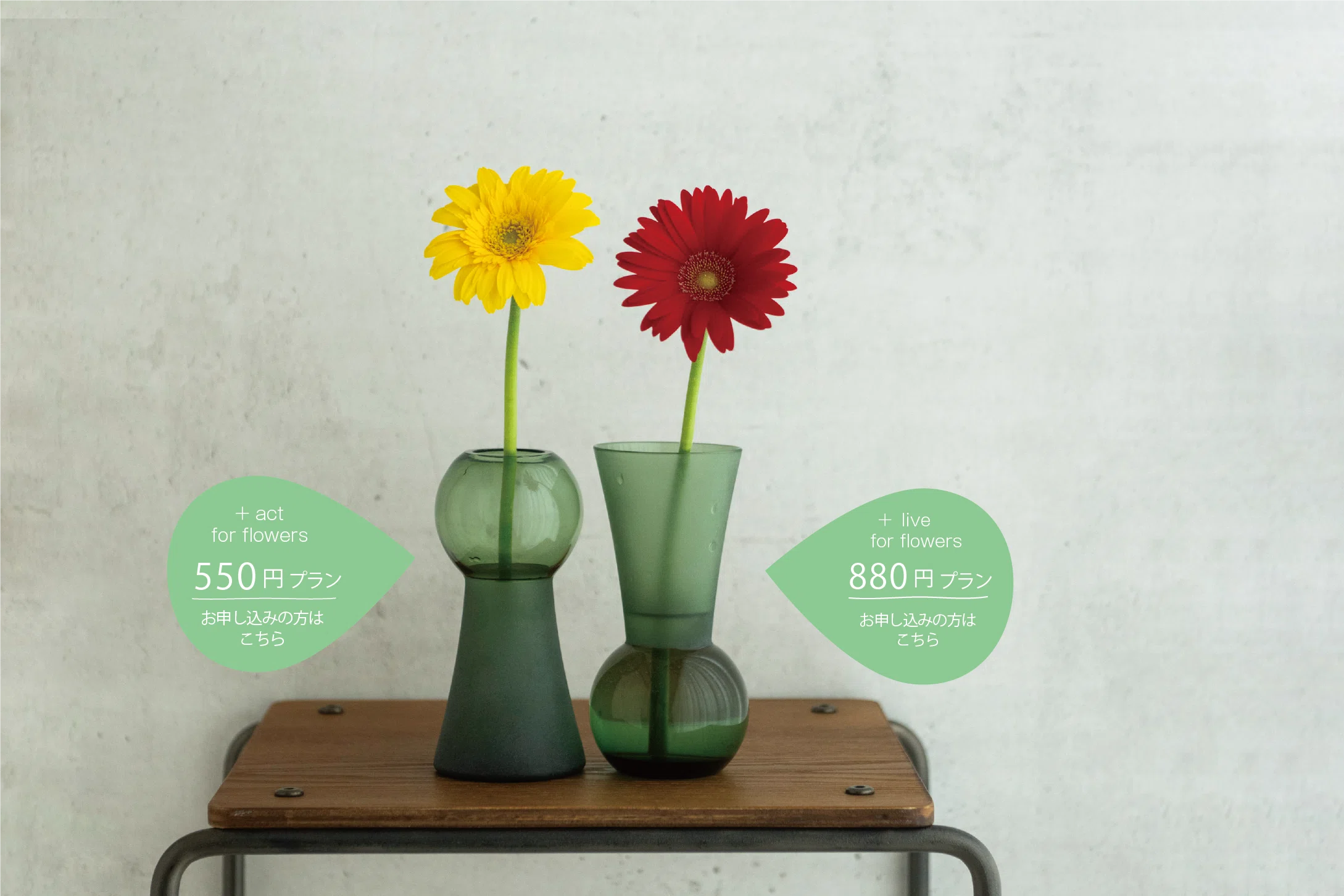 つながる花、めぐる暮らし。」+hana お友達紹介キャンペーン！開催