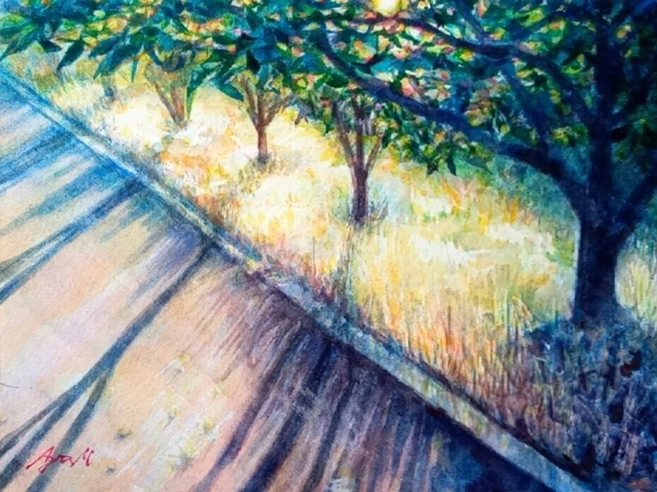 水彩画 絵画「夕日を浴びて～ 森の散歩道」 Watercolor - ⁄ 公式通販
