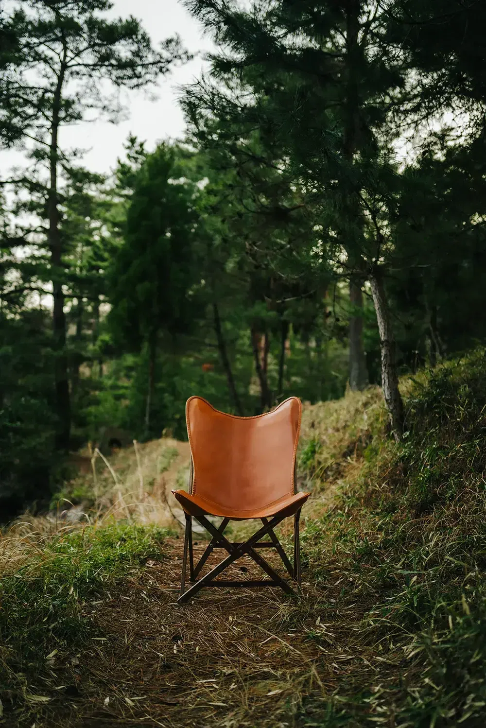 PARAGON CAMP FURNITURE at Purveyors｜Purveyors