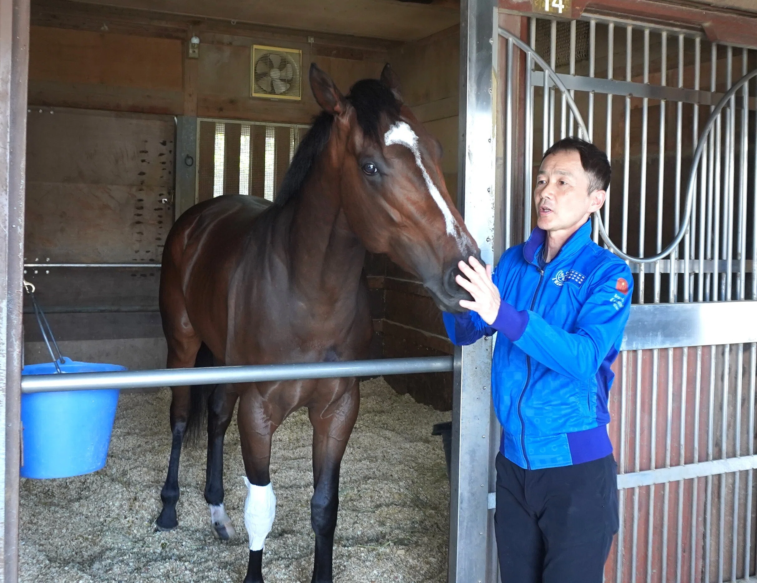 安田記念を制したシックスペンスの、国枝厩舎時代の担当者が語る「複雑