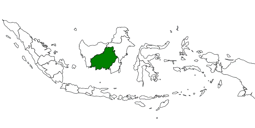 Nurturing Forests in Kalimantan, Indonesia｜From Oji Around the World ...