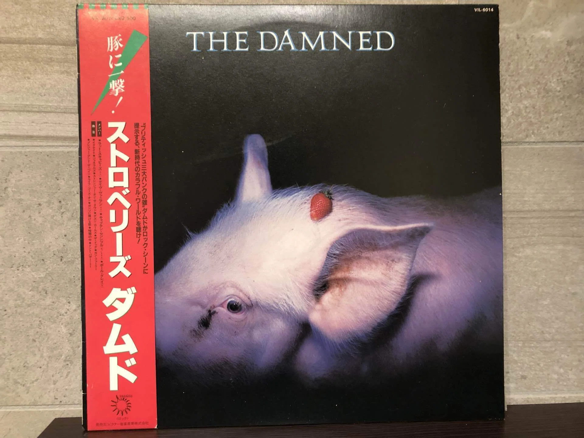 【日本盤帯付LP】ダムド　THE DAMNED ストロベリーズ ストロベリーズ／ザ・ダムド ('82)｜Takeshi Tada