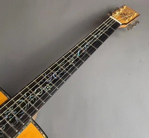 BugsGear OR-30PL アコースティックギター THE BugsGear｜tenio39