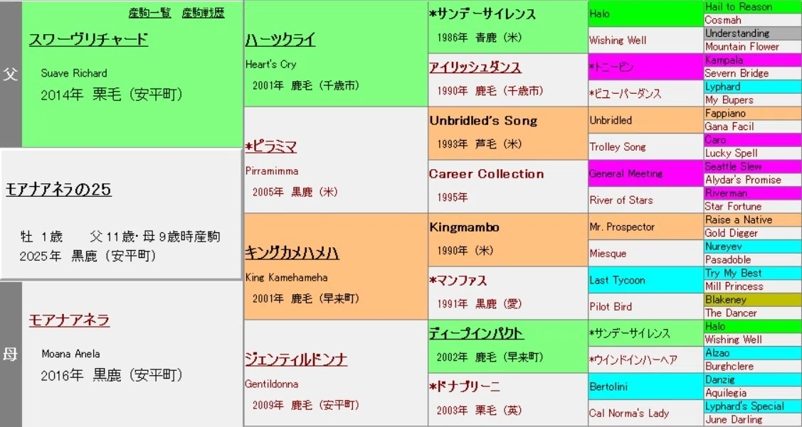 血統厳選10頭】サンデーサラブレッドクラブ2026年度募集（無料公開