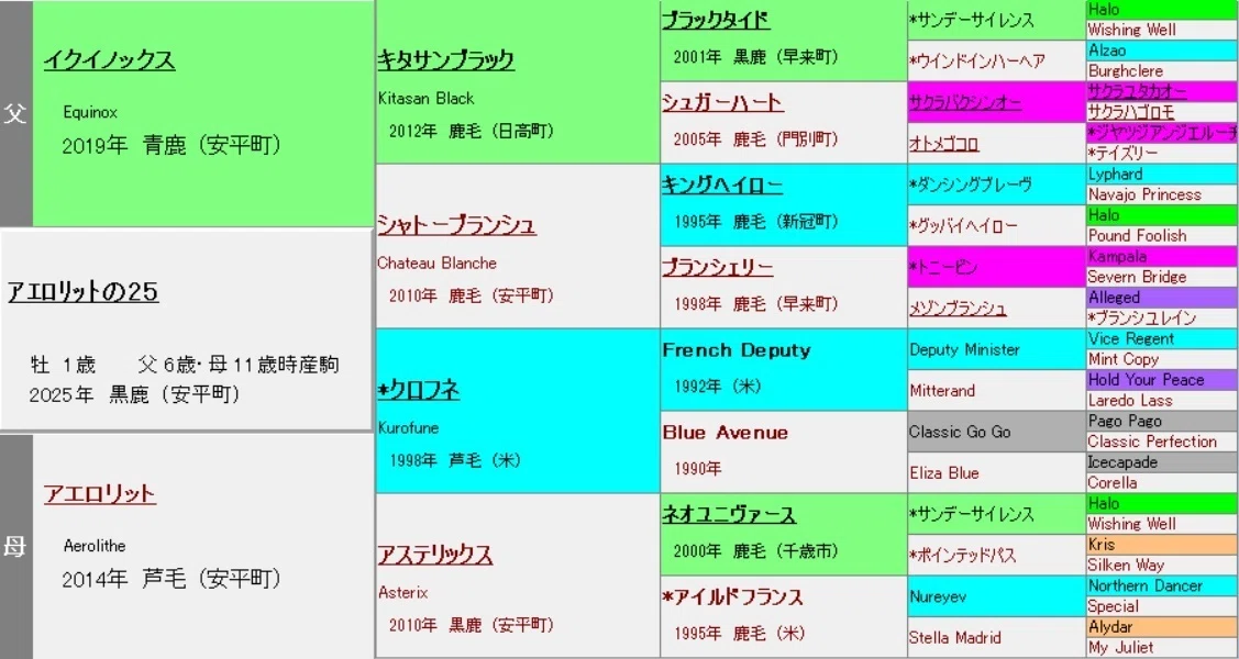 血統厳選10頭】サンデーサラブレッドクラブ2026年度募集（無料公開