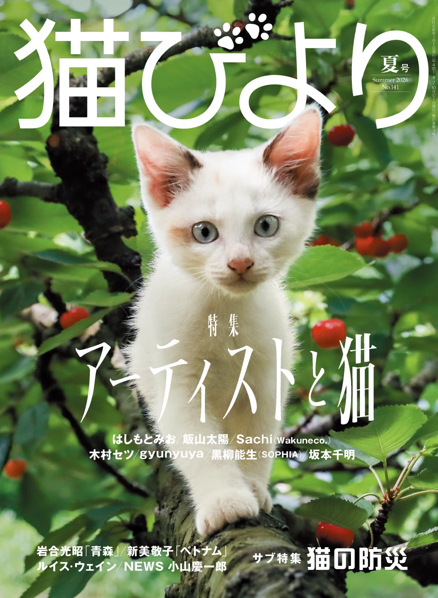 猫びよりの編集さんに聞いてみた ｜黒柳 能生 公式note