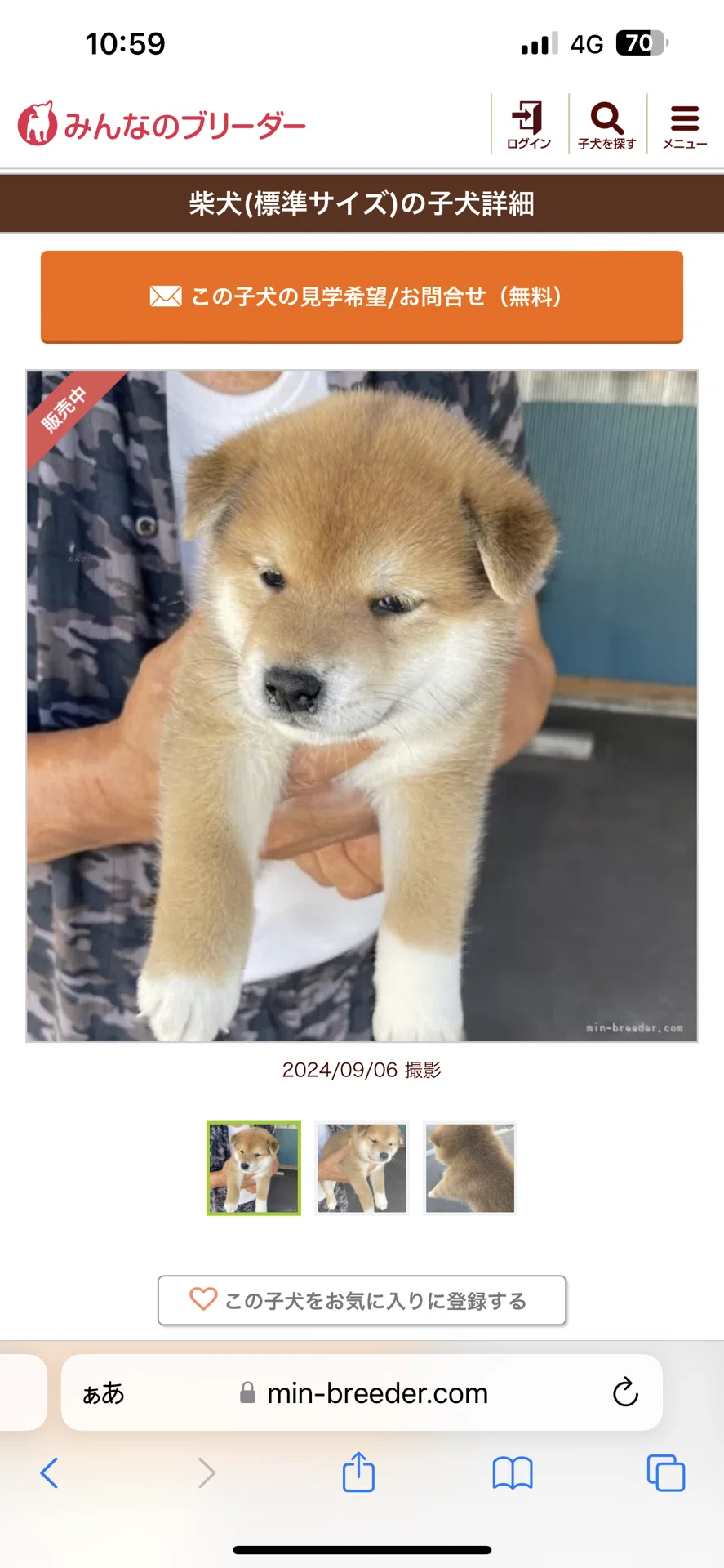 画像
