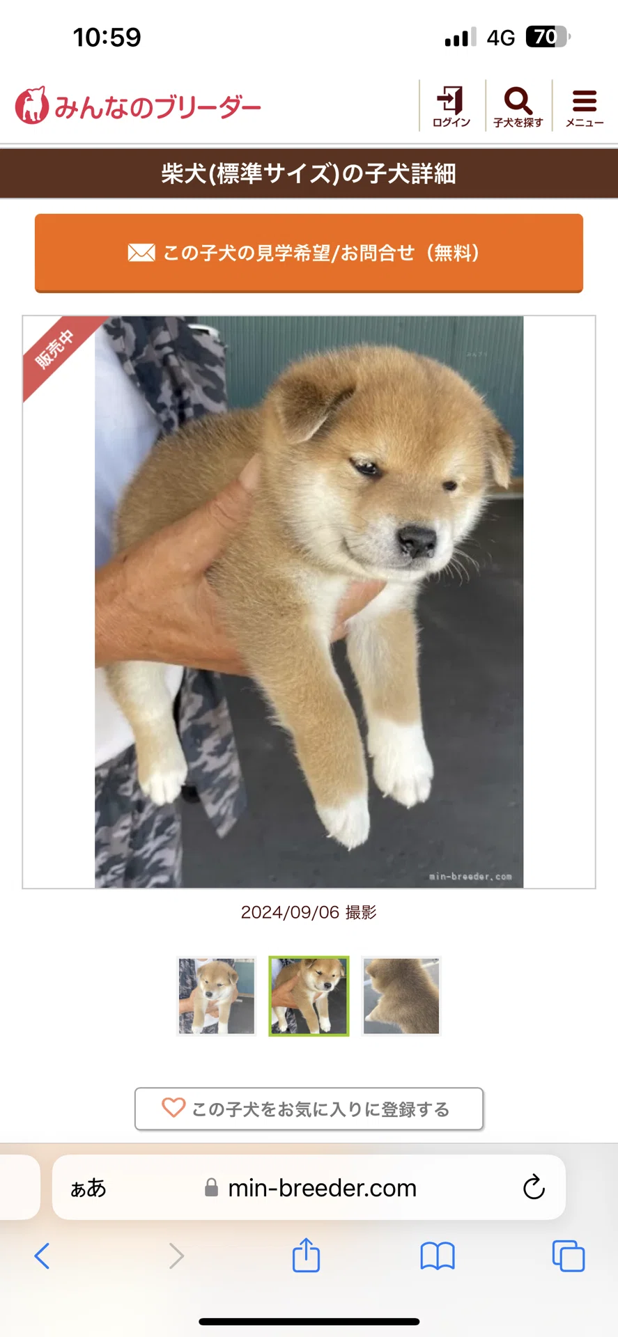 画像