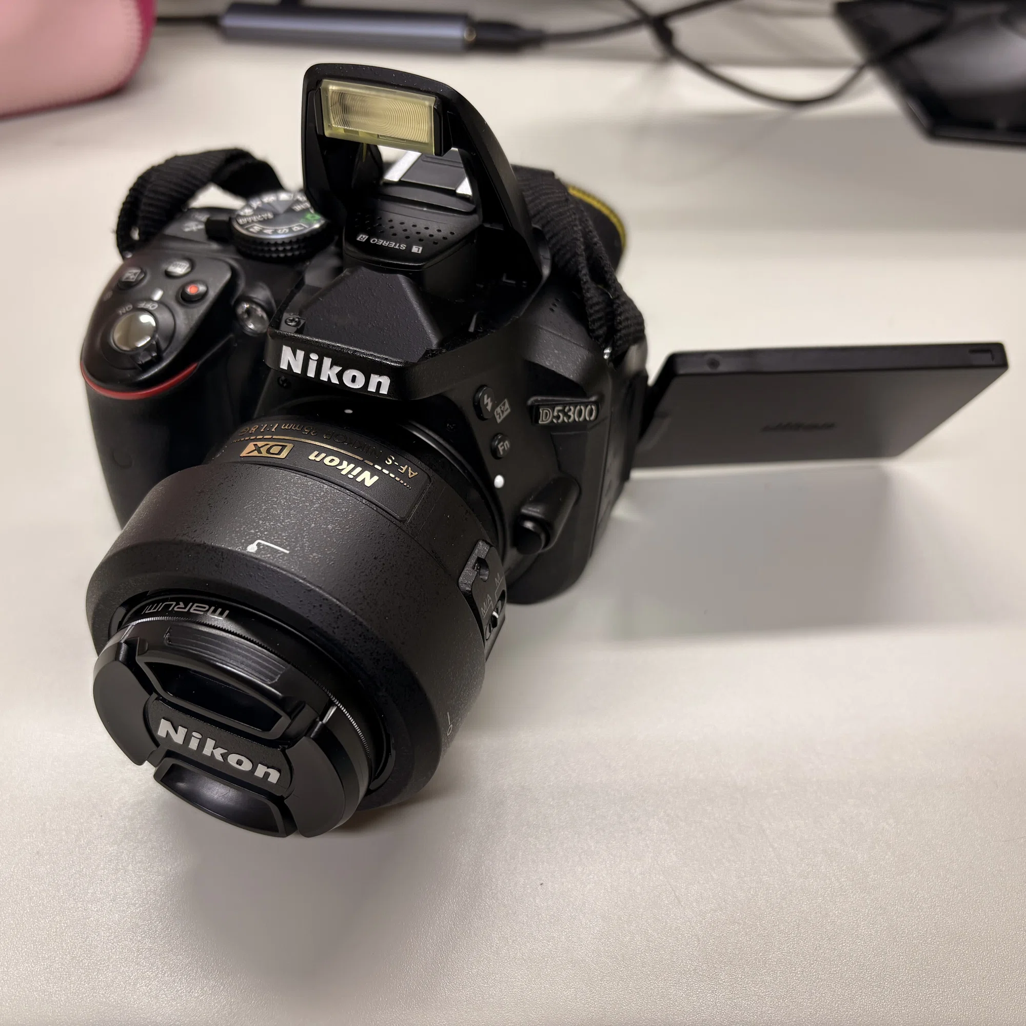 AIの言いなりになりNikon D5300でカメラをはじめた話｜techu