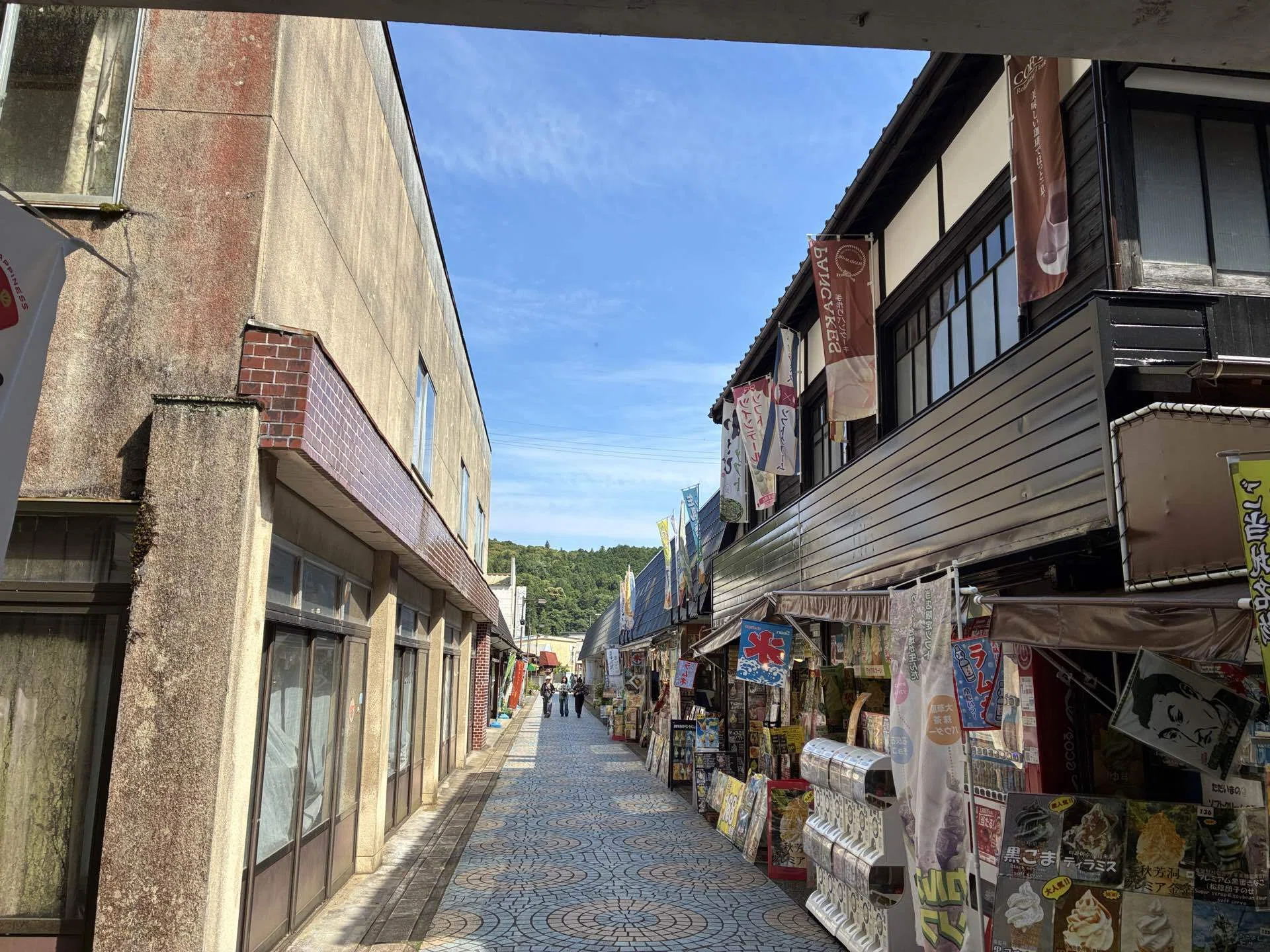山口】秋芳洞｜ひでを