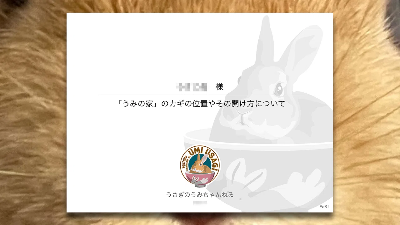 うさぎページ うさぎの危険担保…もしもうさぎが1頭だけ取り残されてしまったら