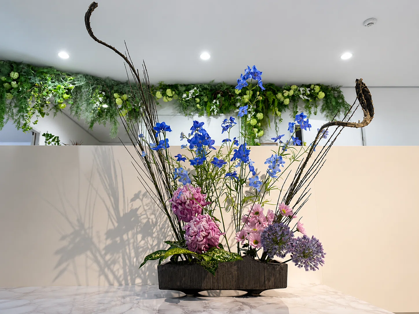 My Garden＊石化金雀枝｜野澄
