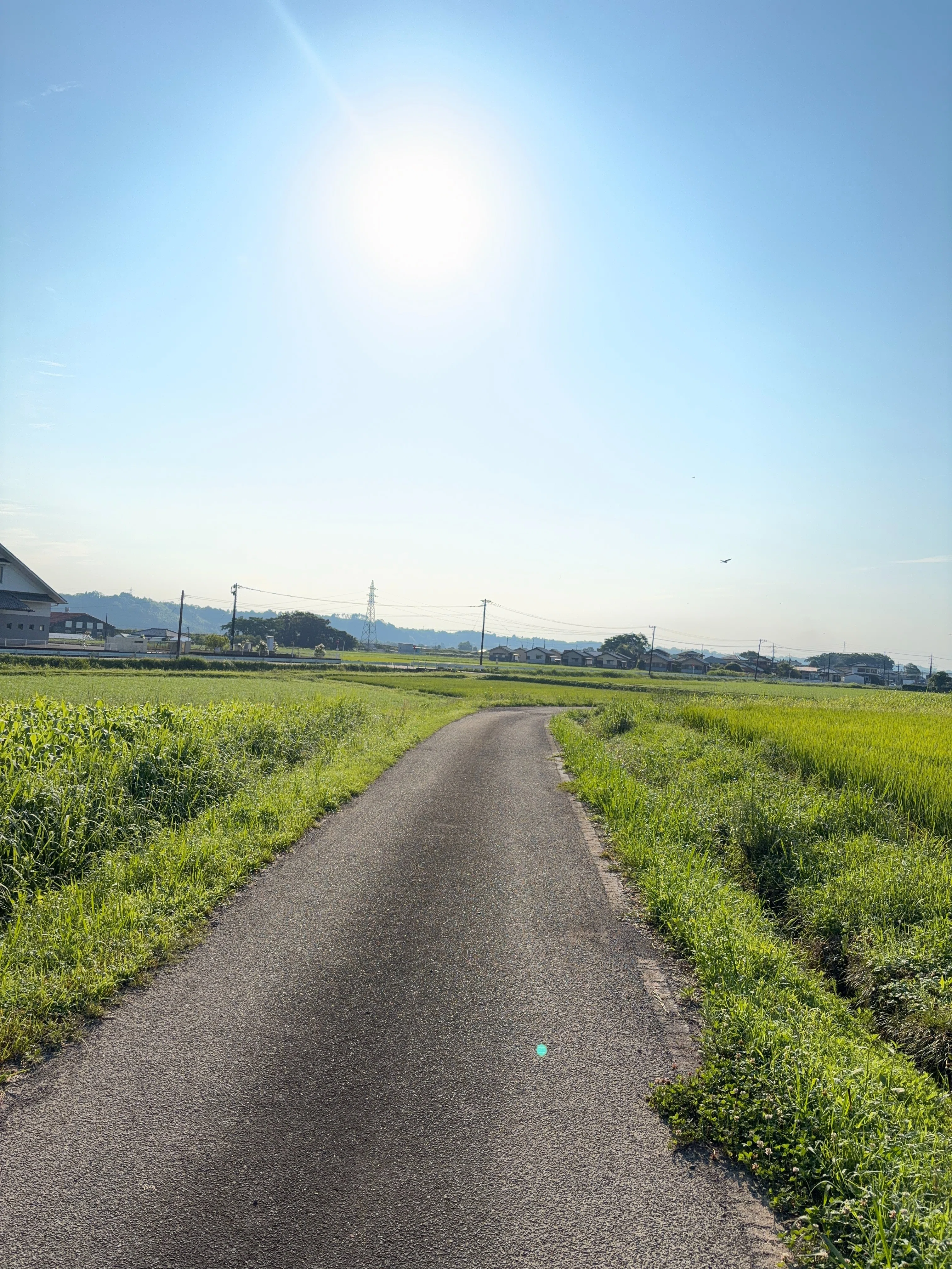 木城の風景・今日の言葉6月11日（木）｜宮崎県木城町