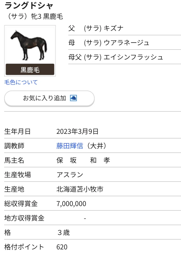 大井競馬・今日の注目馬｜みるくてぃー
