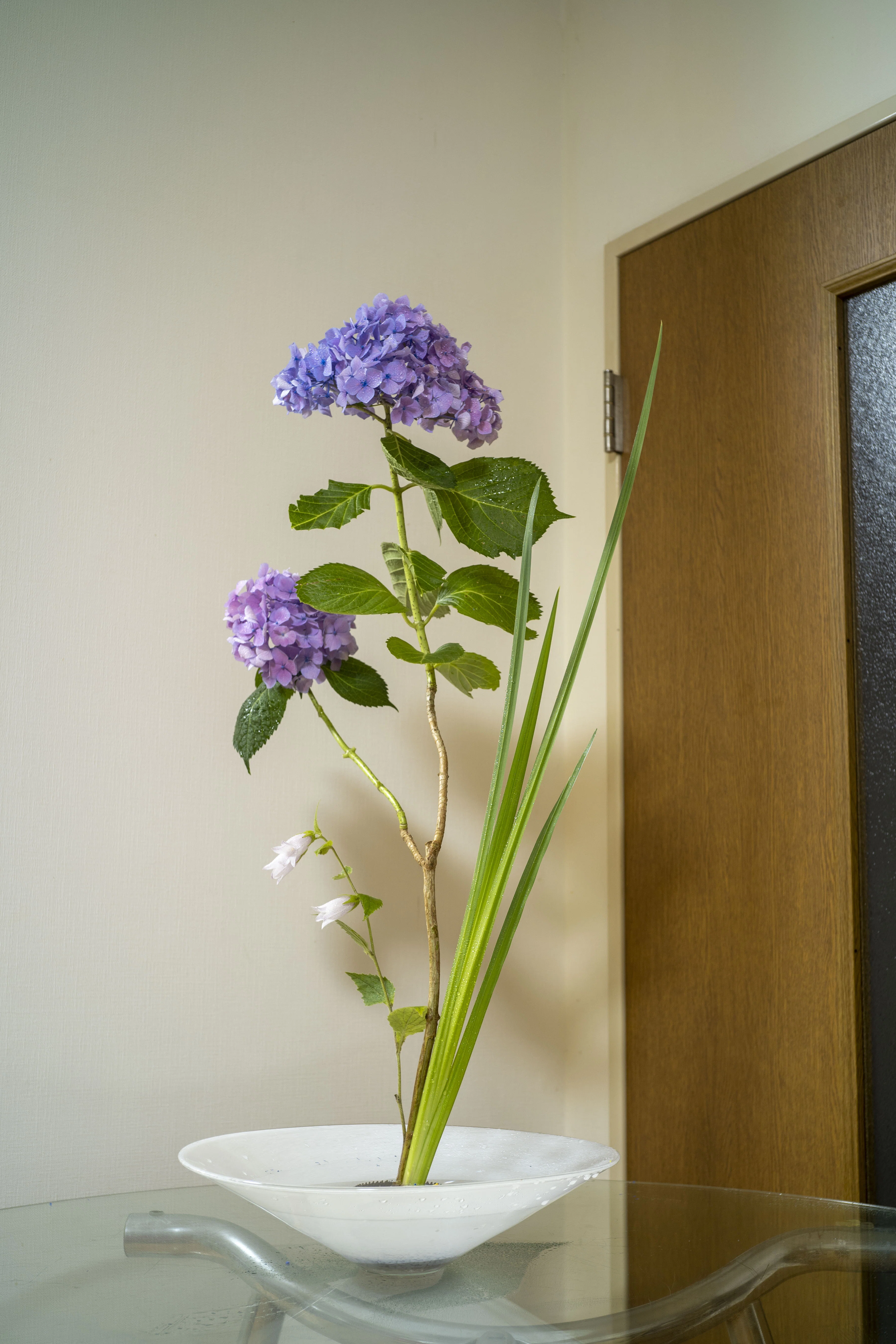 6 オウム貝　ナウティルス貝 花器 吊り下げ式　生け花　花展　茶道　茶席 当季の花を頂きました♬ ～陰森夏木杜鵑啼（いんしんたる かぼく と