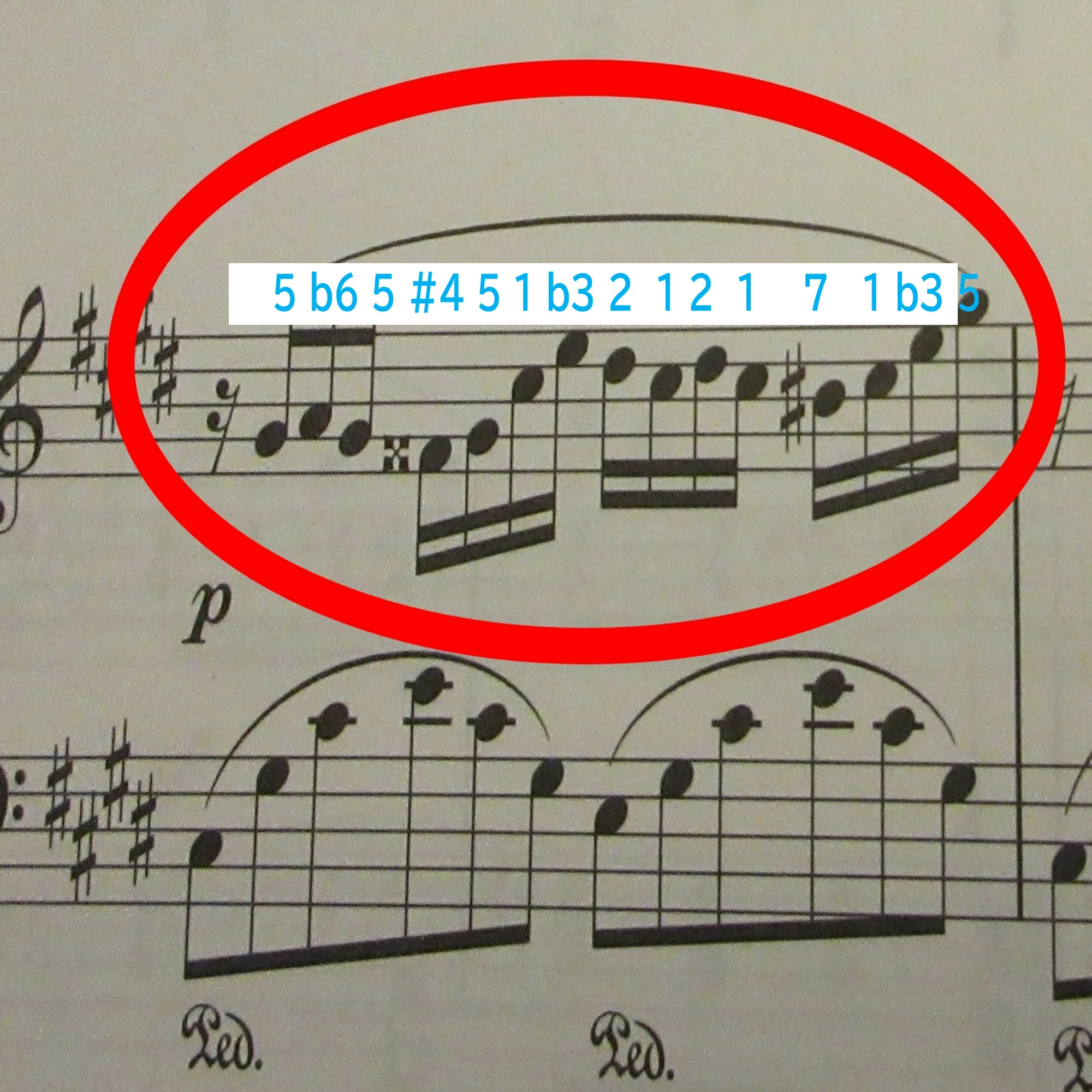 🎼独学どんどんピアノ（21） 「ドレミファ」を「1234」にして把握