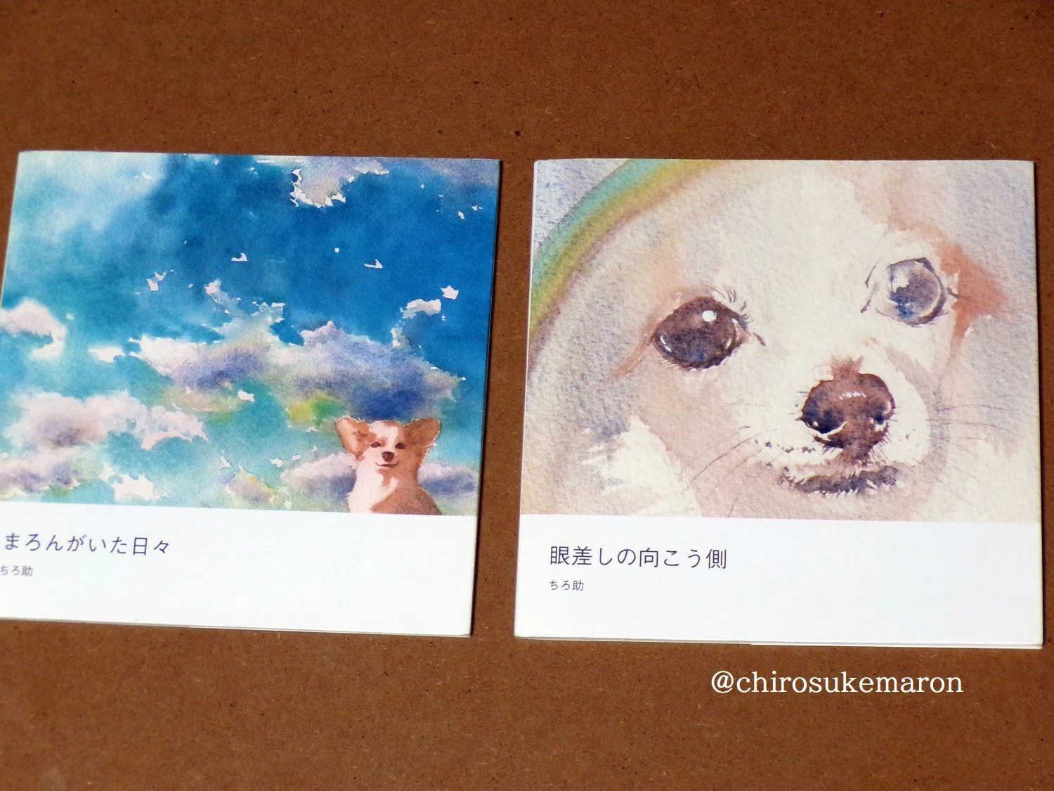 愛犬の記憶と過去絵｜ちろ