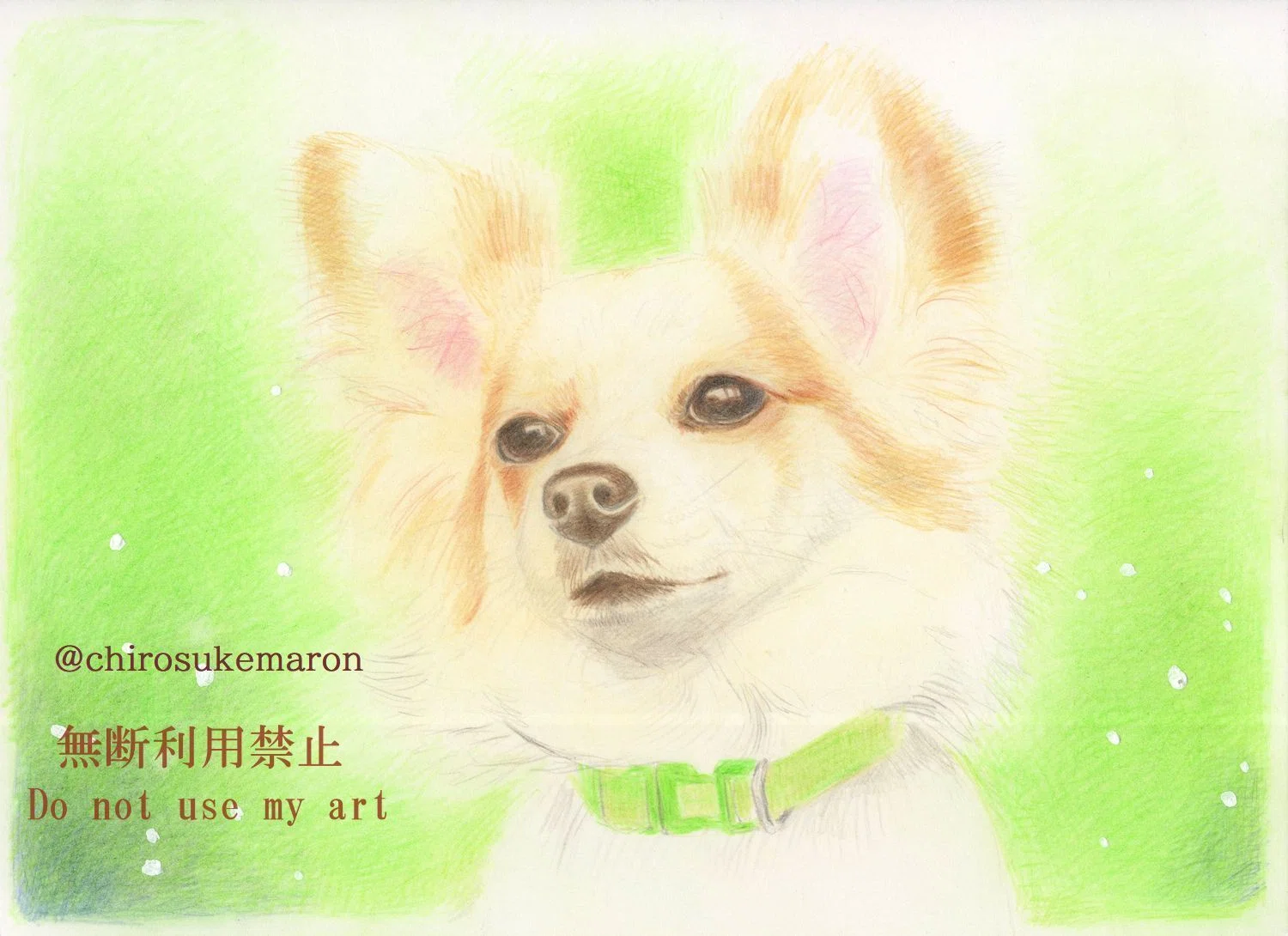 愛犬の記憶と過去絵｜ちろ