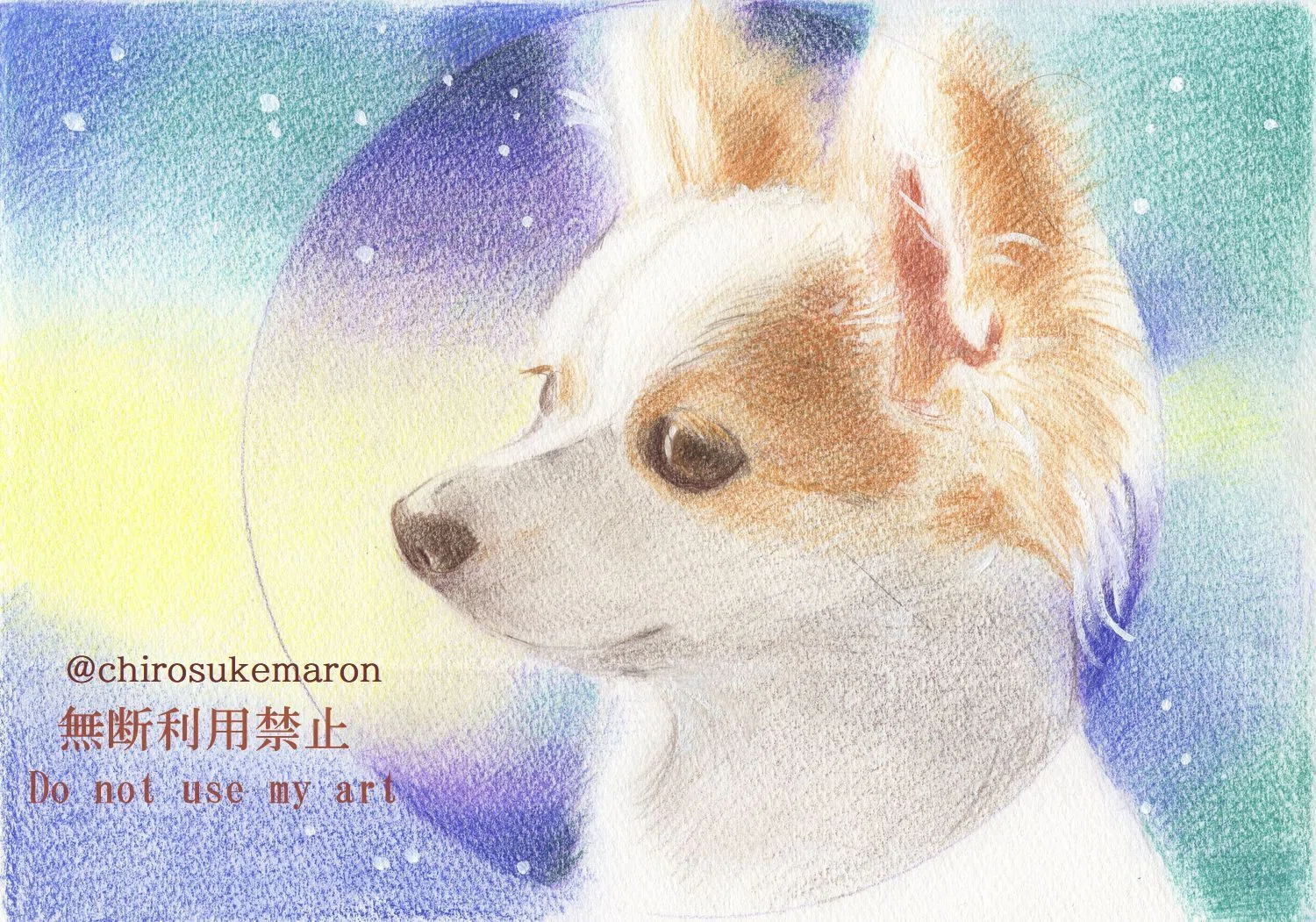 愛犬の記憶と過去絵｜ちろ