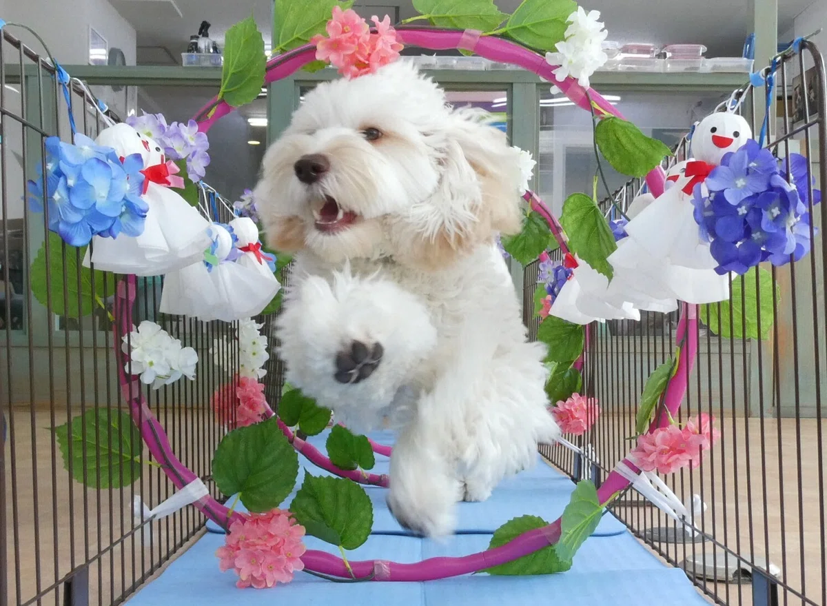 画像