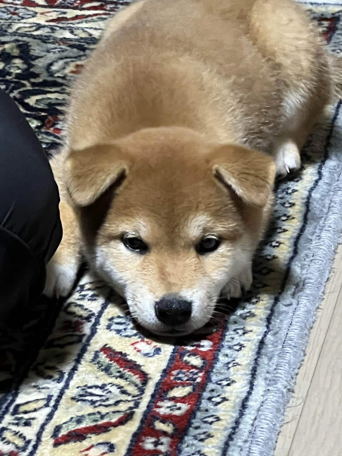 画像