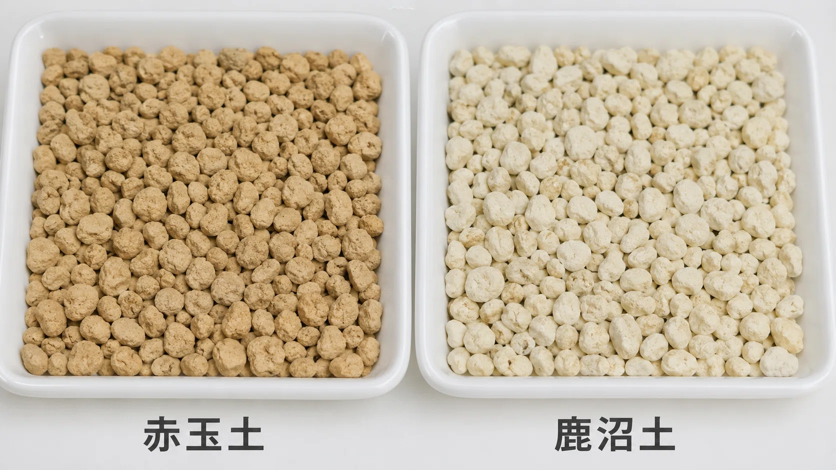 赤玉 土 と 鹿沼 土 の 違い