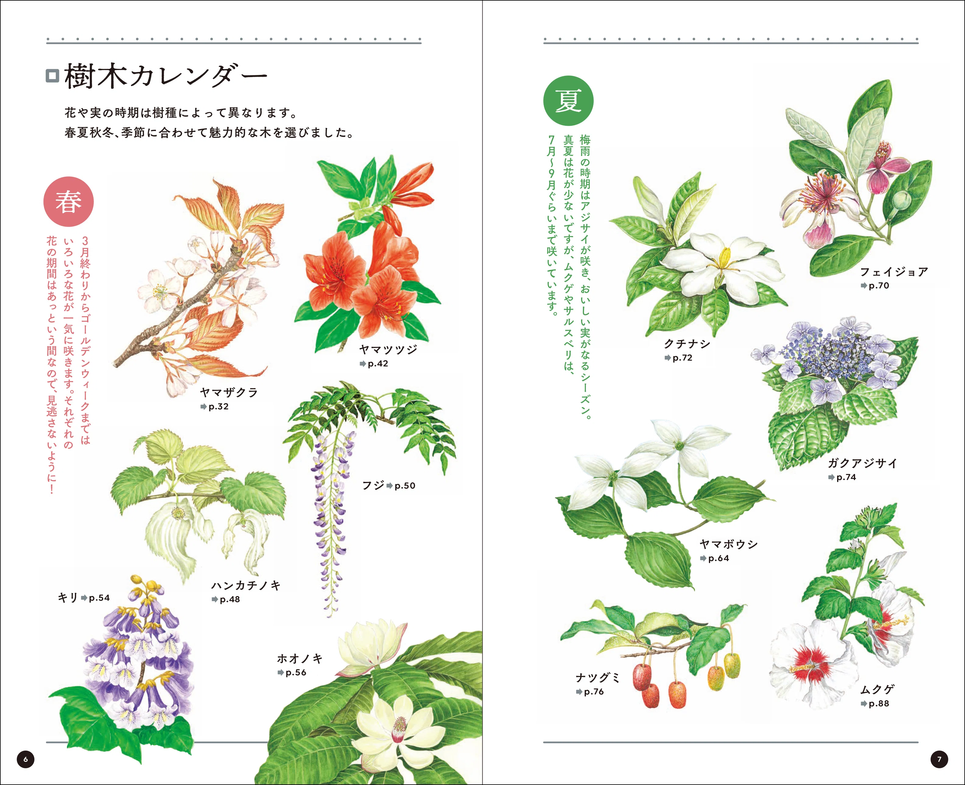 身近な樹木観察で「木ぐらし」を楽しむ｜ブンイチ（文一総合出版）