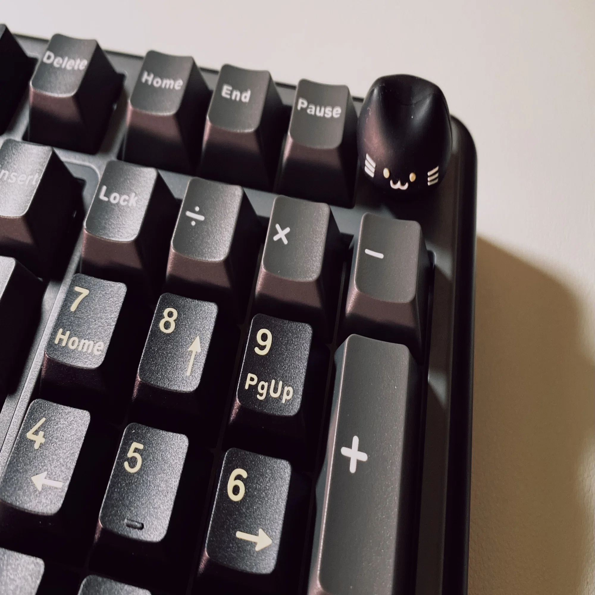 YUNZII B98 PRO Review | The cat knob is too cute!! YUNZII