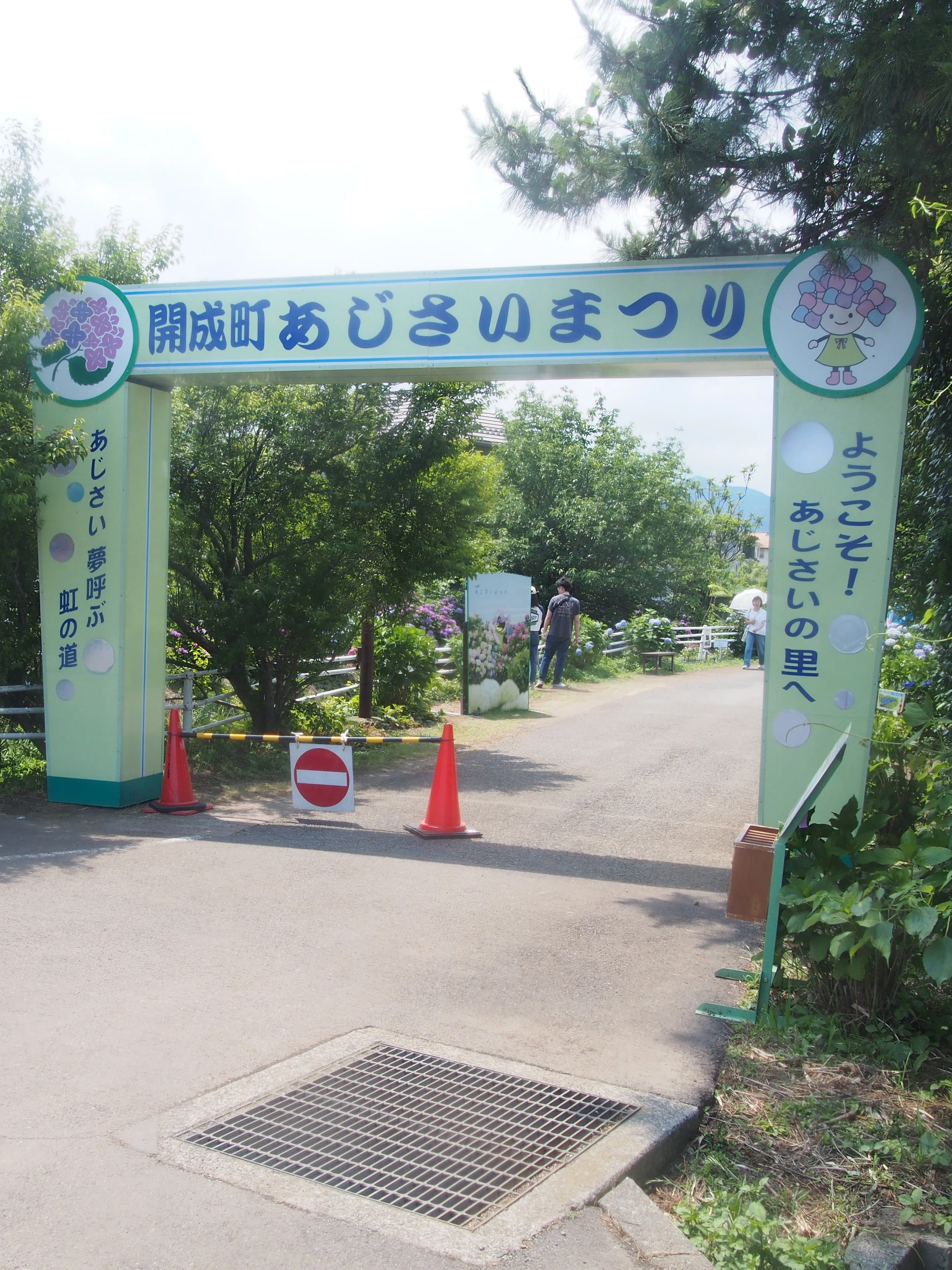 虹色に咲くあじさいの中で。──開成町あじさいまつり、移動支援の現場