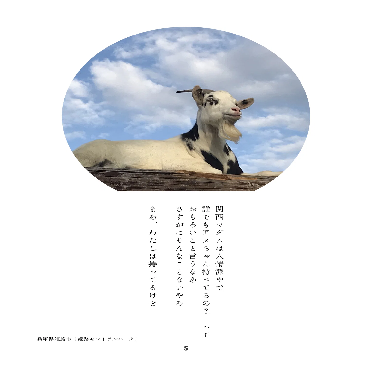 etc Sosaku Market Vol.3 Consignment Information｜長瀬ココ