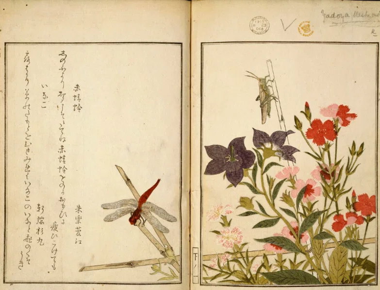 アーティスト解説：喜多川歌麿｜Art Meister （アート マイスター）