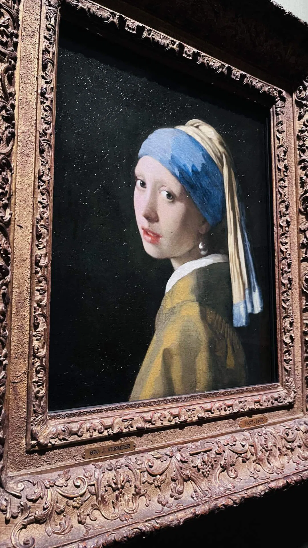 35歳、名画の前で母に写真を撮られる｜マウリッツハイス美術館再訪