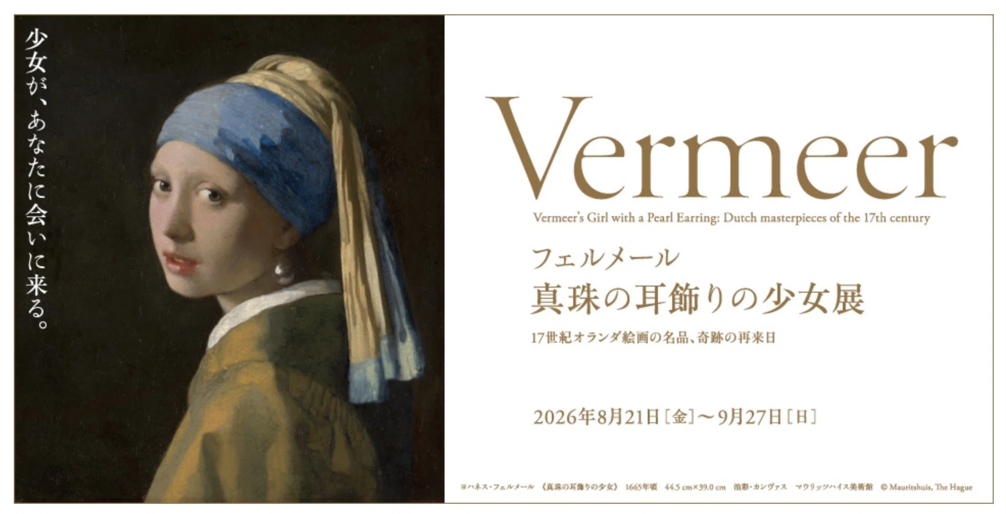 絵画のどこを見るか〜フェルメールの場合｜Le yusée