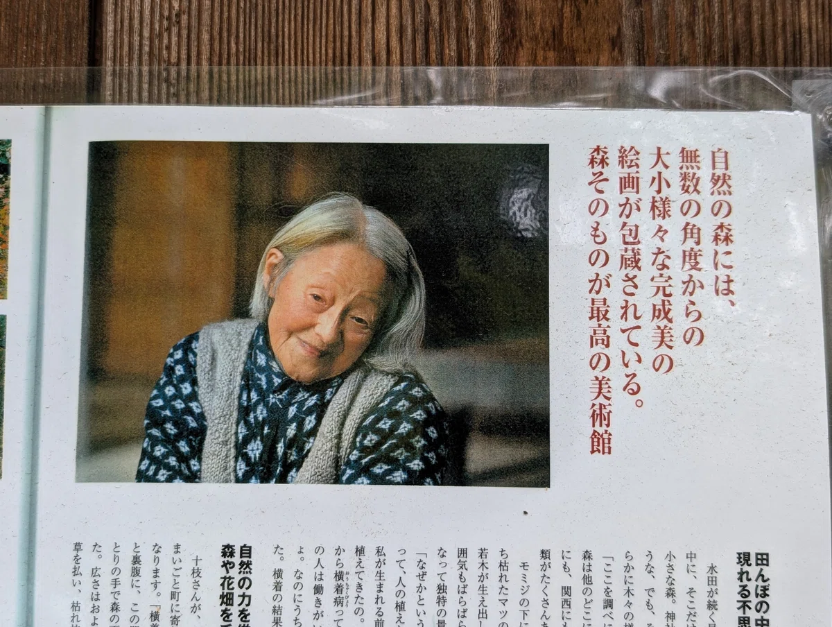 画像