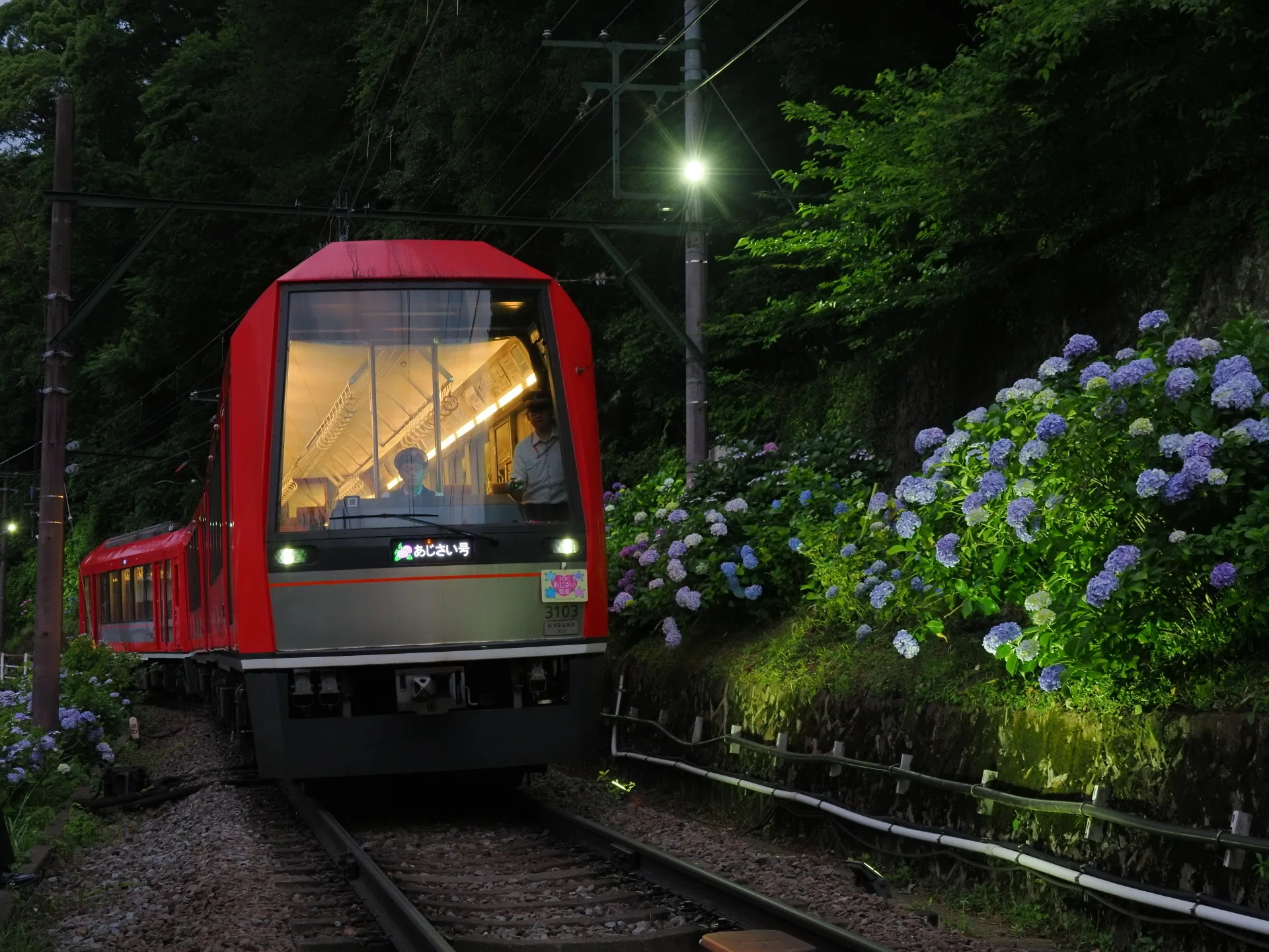 鉄道探訪》鉄道部 高橋渉・箱根登山電車「あじさい電車」2026｜OM