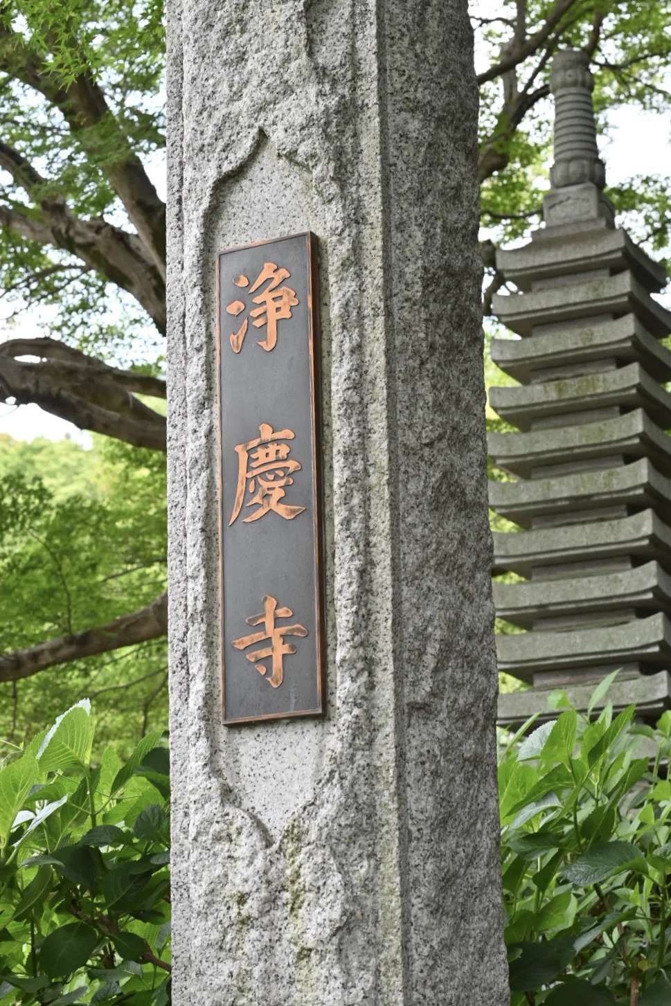 紫陽花とユーモラスな羅漢像をオールドレンズで撮る｜SuzukenSambar