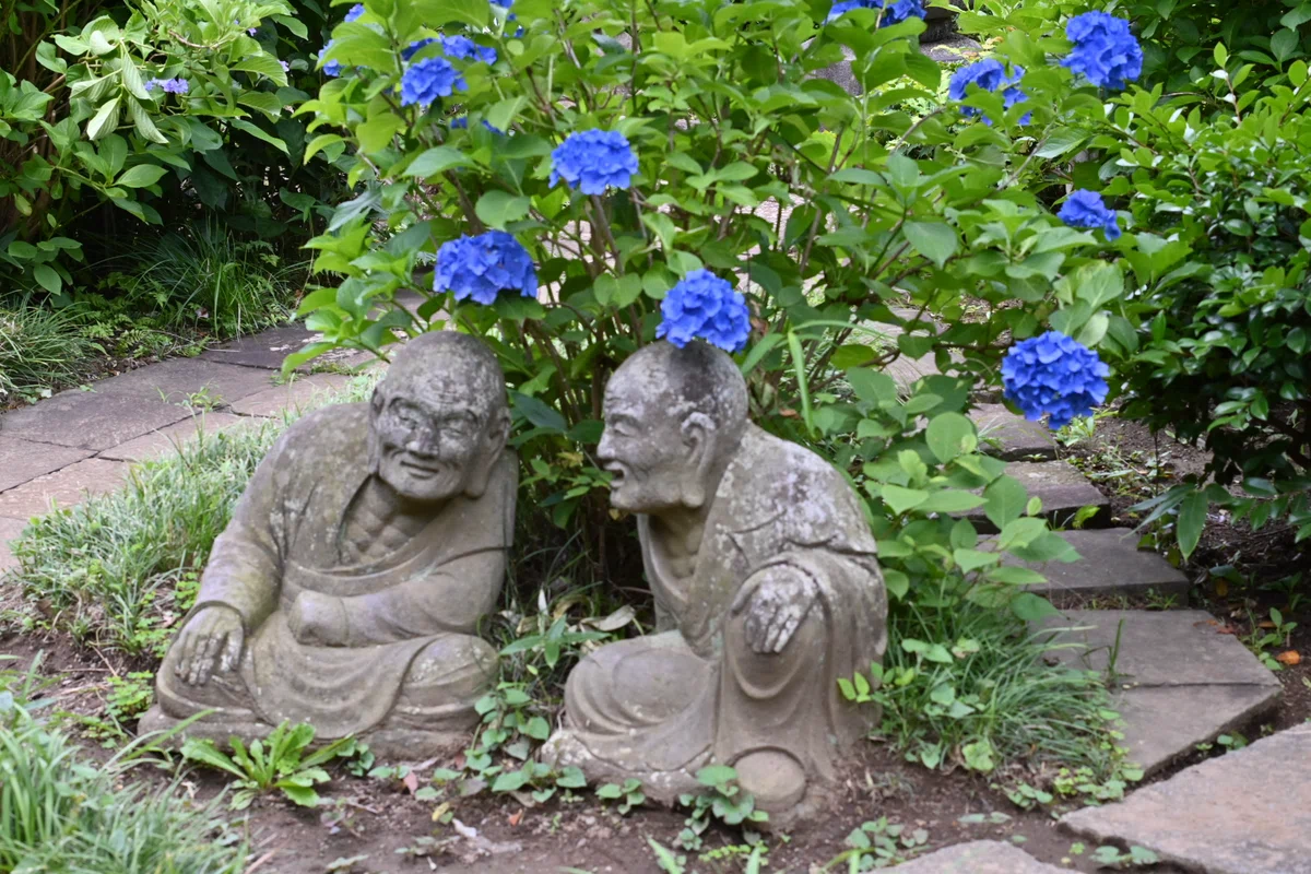 紫陽花とユーモラスな羅漢像をオールドレンズで撮る｜SuzukenSambar