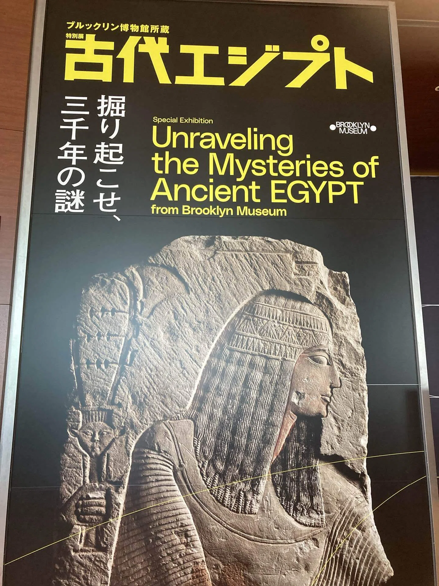 障害者手帳を持ってエジプト展と大阪市立美術館へ行ってきました！｜you