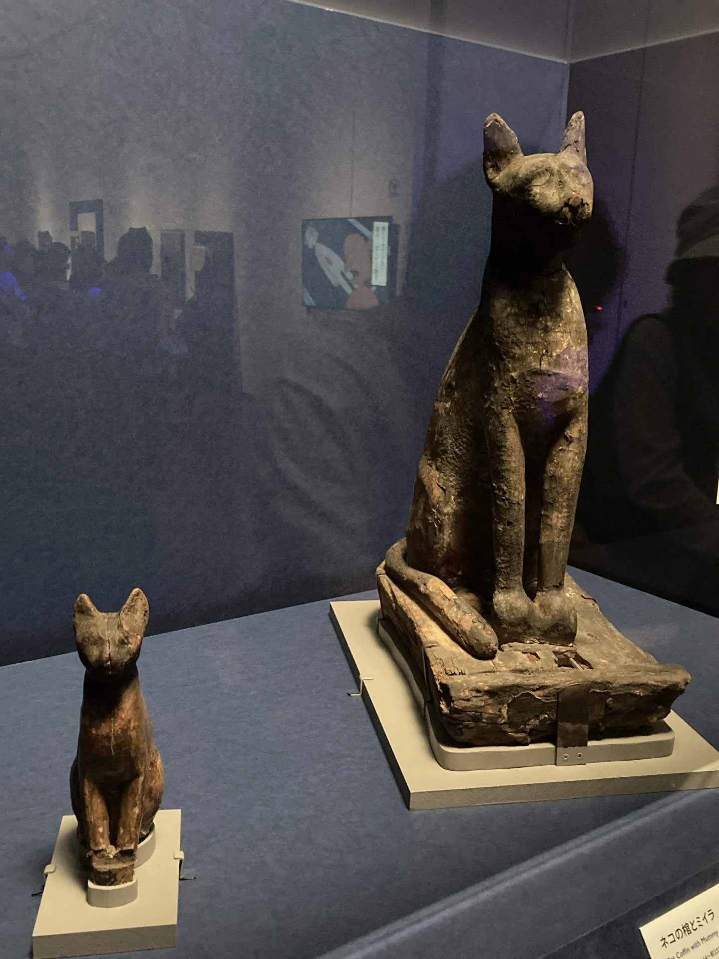障害者手帳を持ってエジプト展と大阪市立美術館へ行ってきました！｜you
