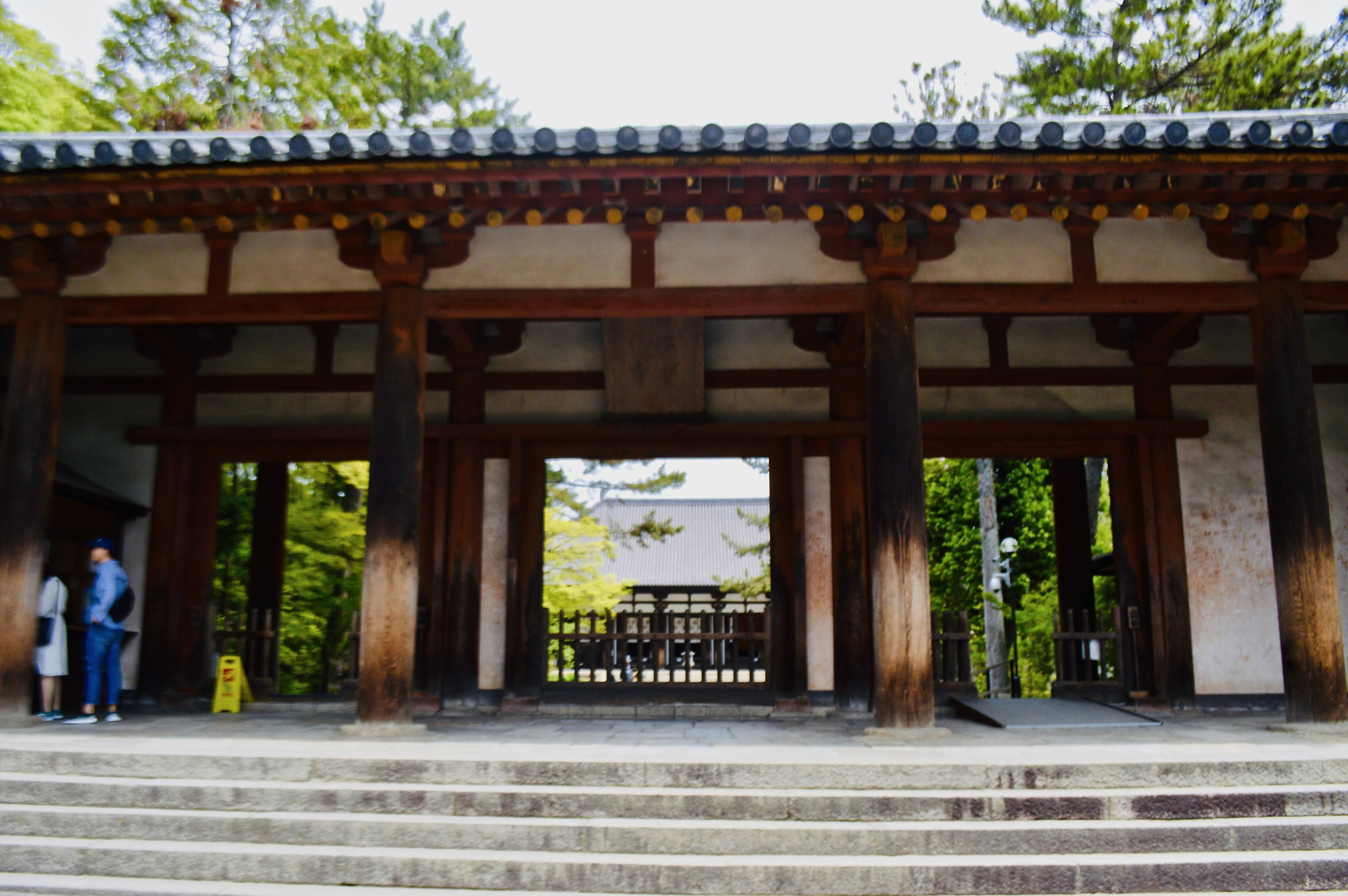 天平の祈りが今も息づく世界遺産｜鑑真和上が遺した唐招提寺｜Tomo＠旅
