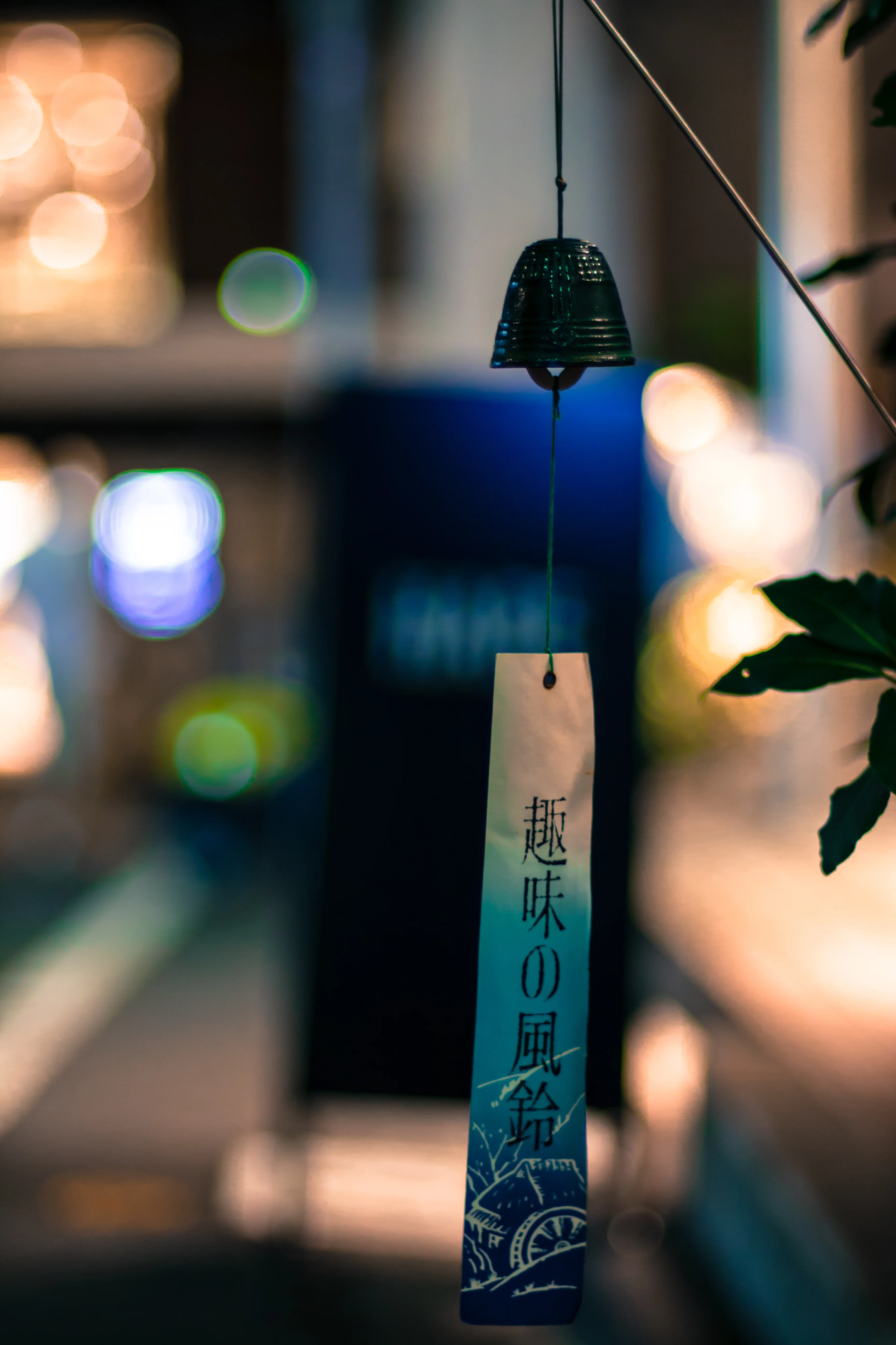 239/365: Wind Bell｜タラネコ