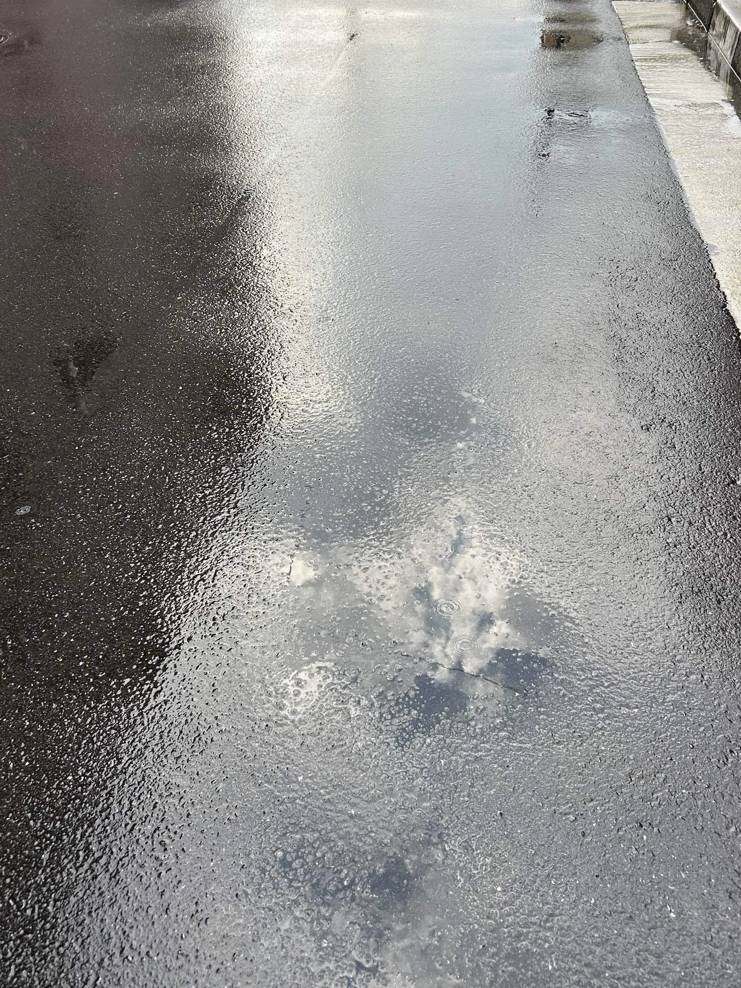雨上がり 【写真】｜こひつじ