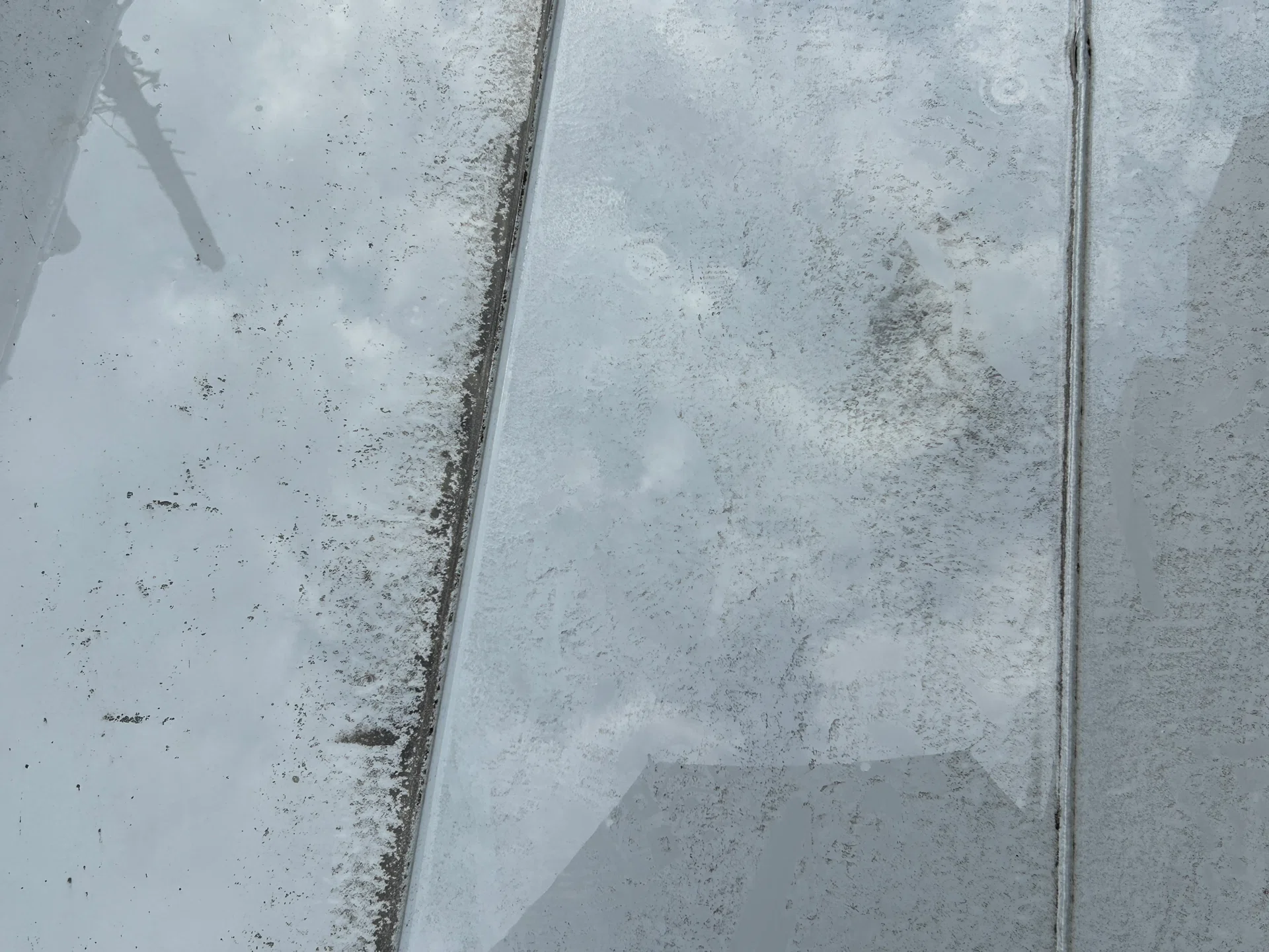 雨上がり 【写真】｜こひつじ