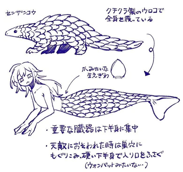 人魚考察｜むぞ