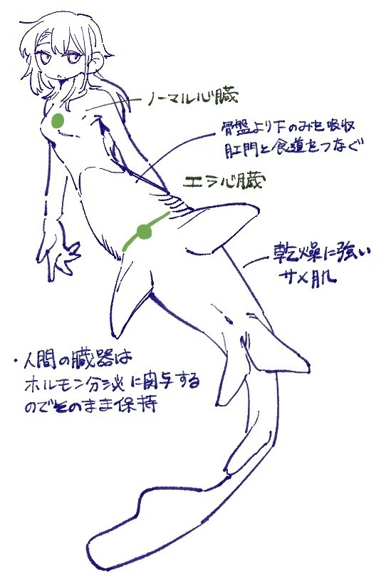 人魚考察｜むぞ